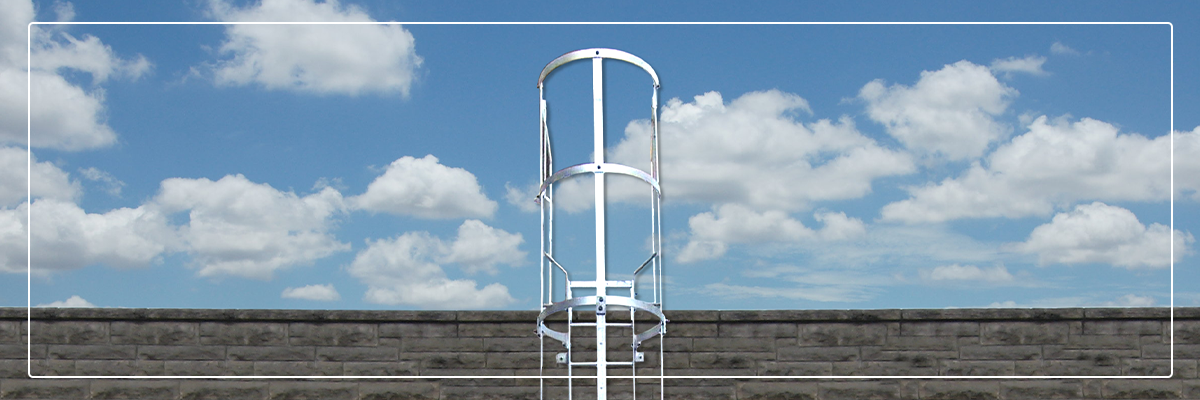 Main Header Banner fh brundle vertical roof access ladders