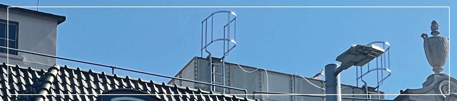 Strip fh brundle vertical roof access ladders
