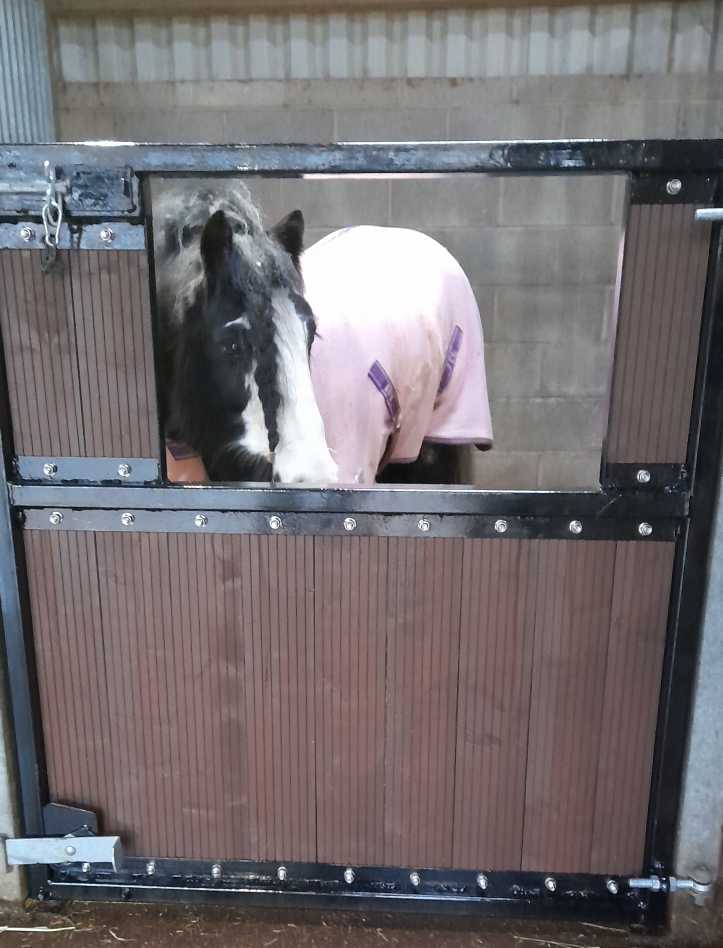 pony 2
