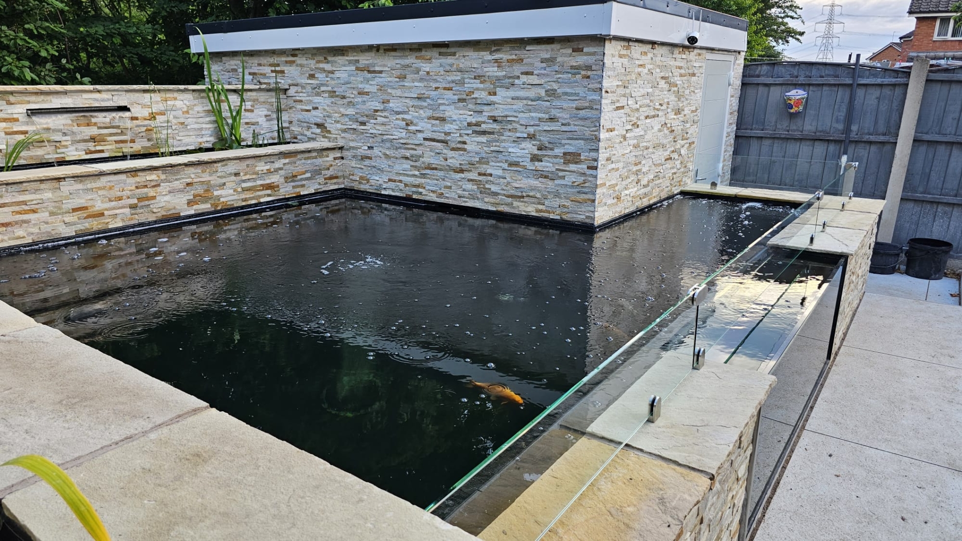 pond glass case study