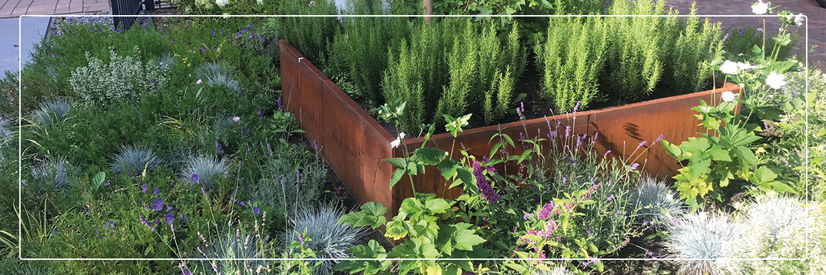 Main Header Banner straightcurve garden planters fh brundle weathering steel